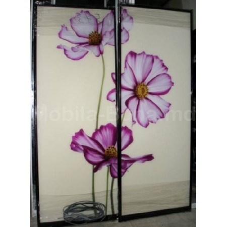 Двери-купе с фотопечатью А-7